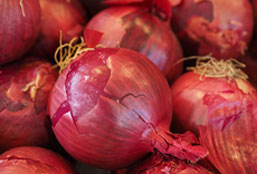 账号充值商城的免费网络轰炸机app