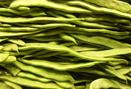 在线手机号平台