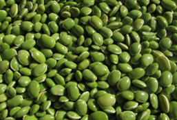 轰炸手机号软件