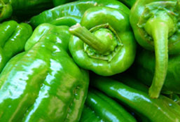 神奇的免费网络轰炸机app