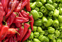 网络电话呼叫软件免费版